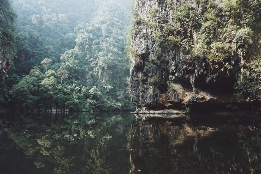 calm body of water beside green trees