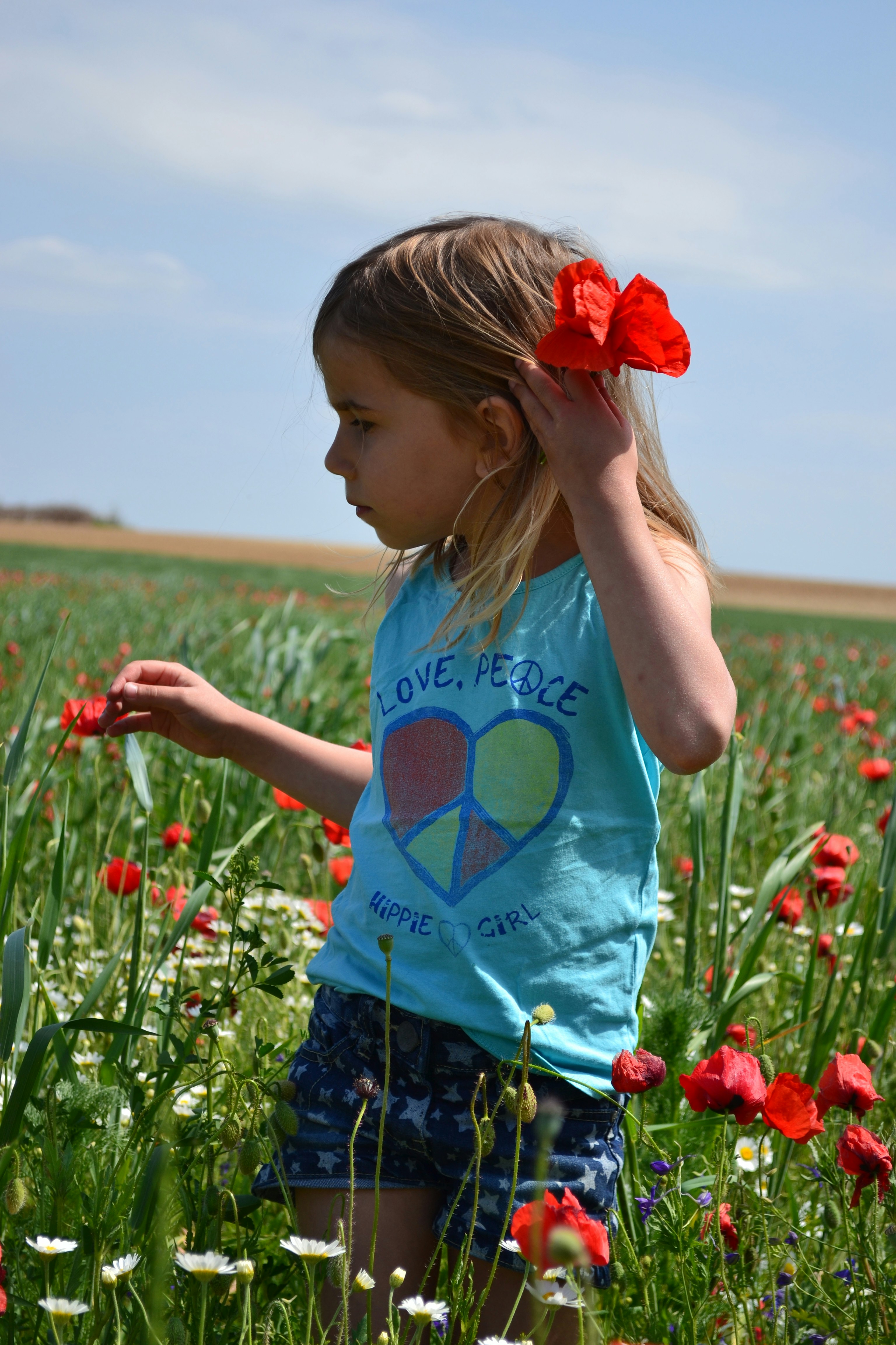 Free Unsplash photo from Szűcs László