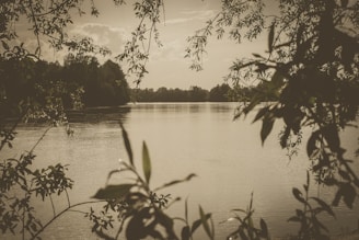 A peaceful lakeside scene with soft morning light and gentle ripples.