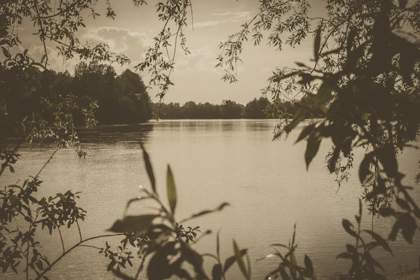Tranquil lakeside spot with soft reflections of surrounding trees.