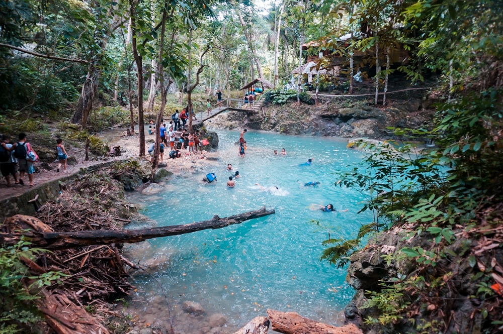 photography of people swimming on lake during daytime