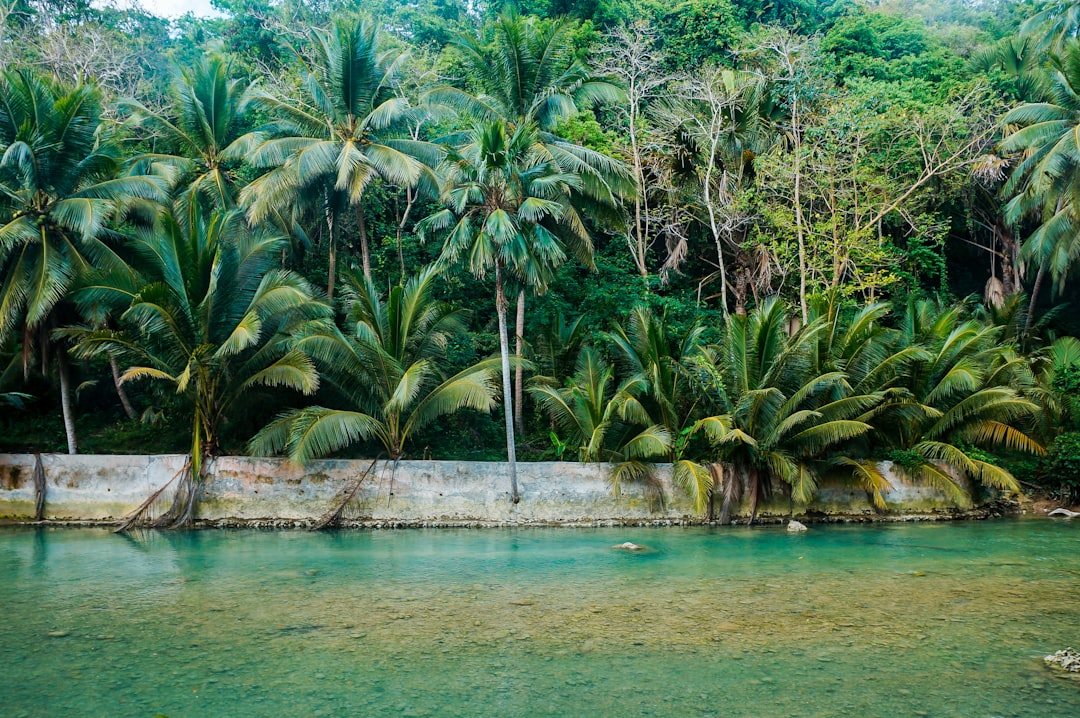 Jungle photo spot Badian Loboc River