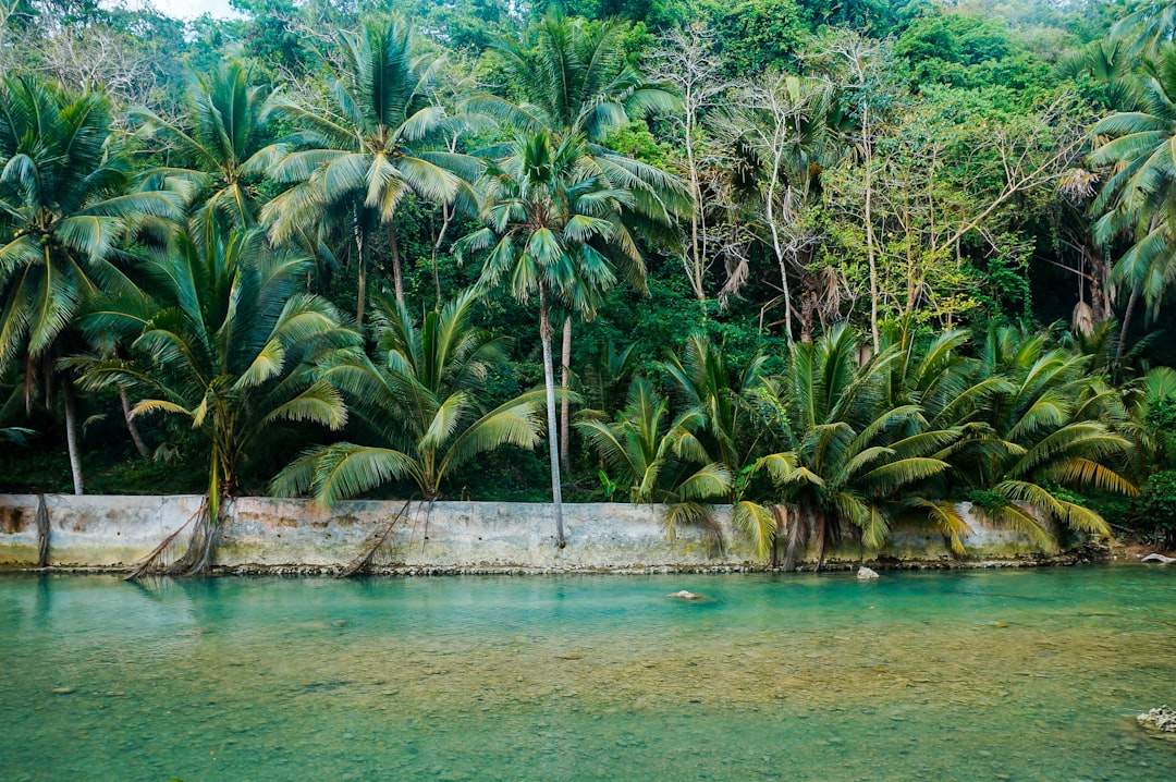 photo of Badian Jungle near Alona Beach