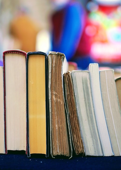 The Girl on the Train