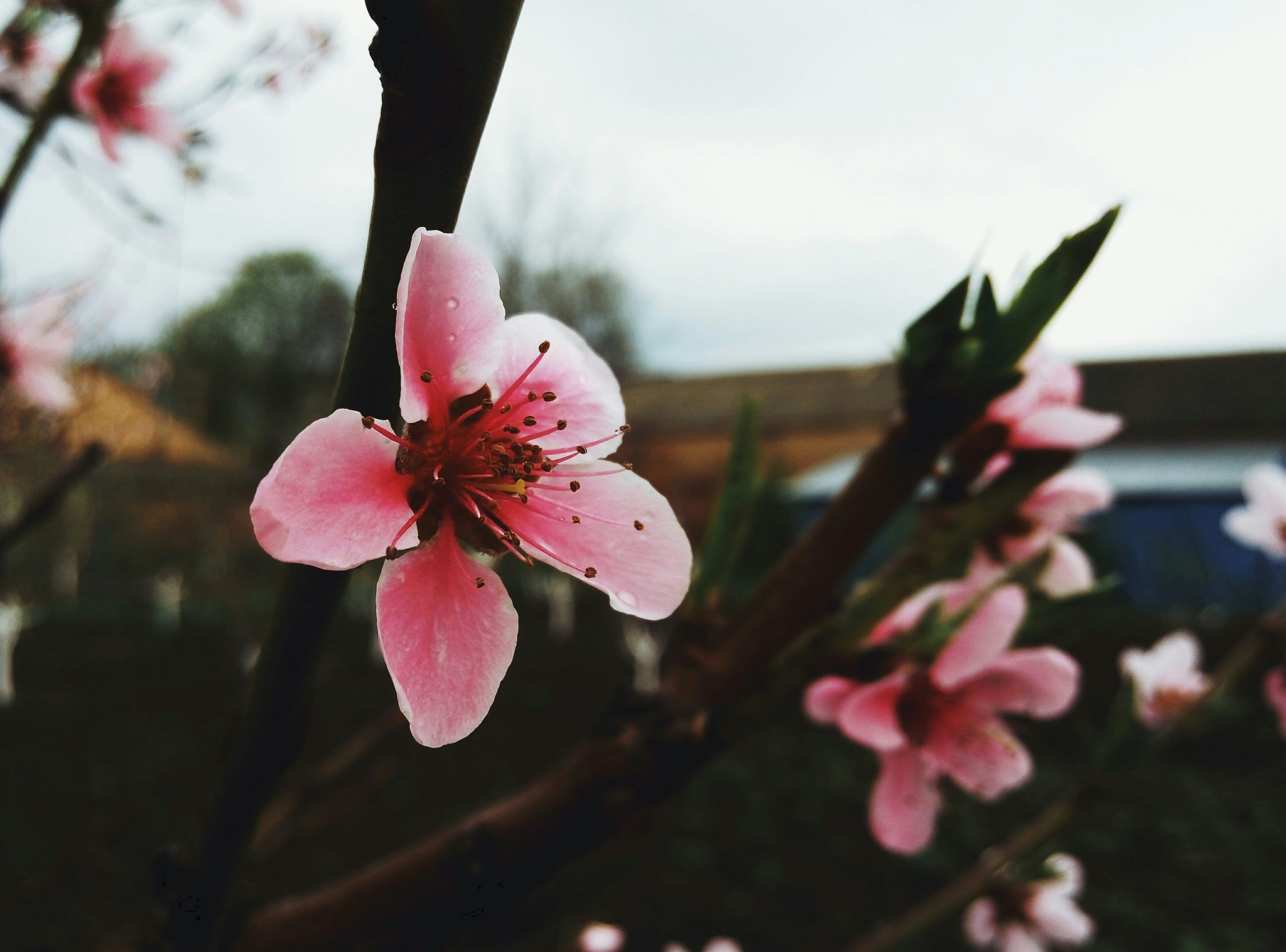 Free Unsplash photo from John Greb