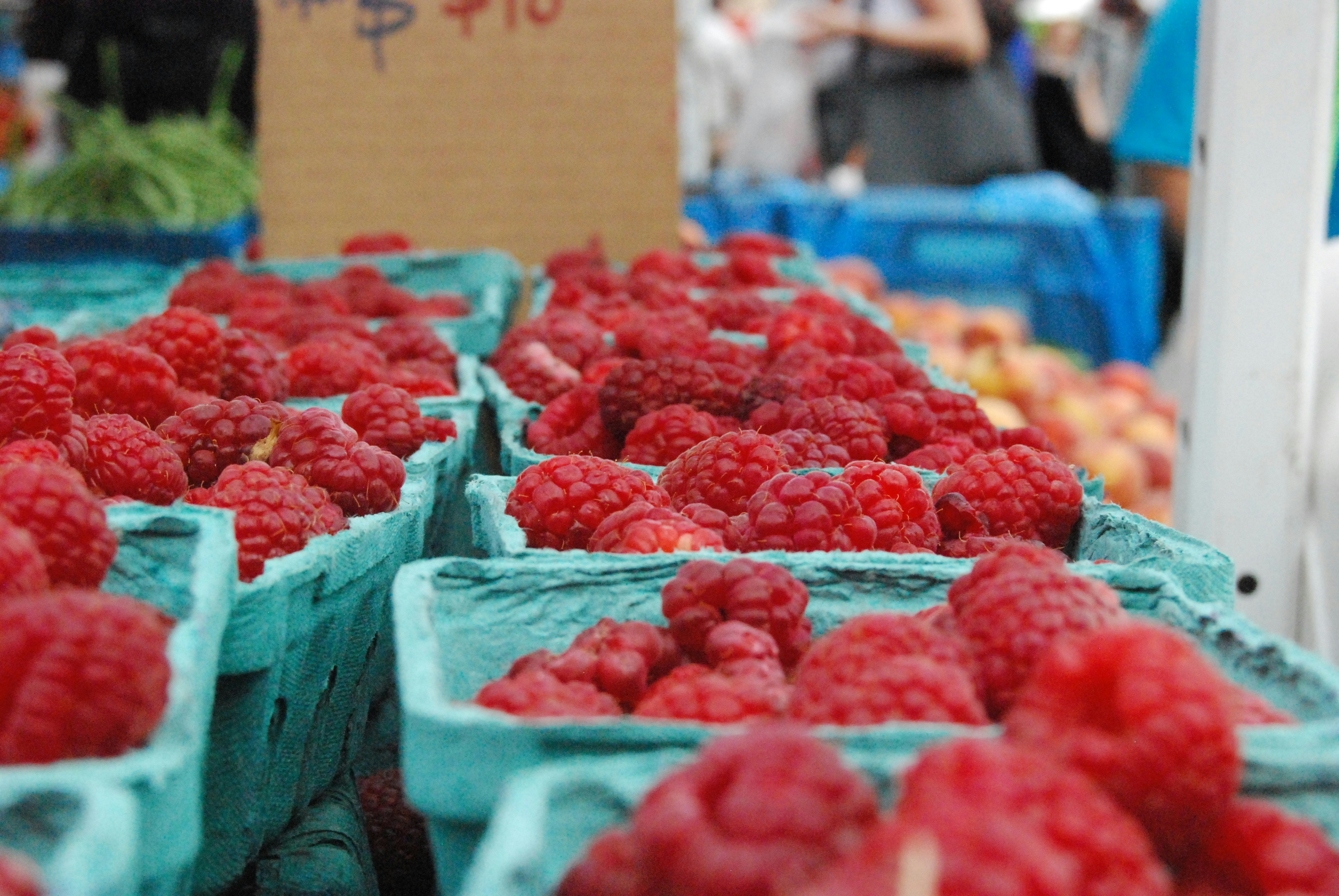 Free Unsplash photo from Juan Miguel  Sevilla Morales