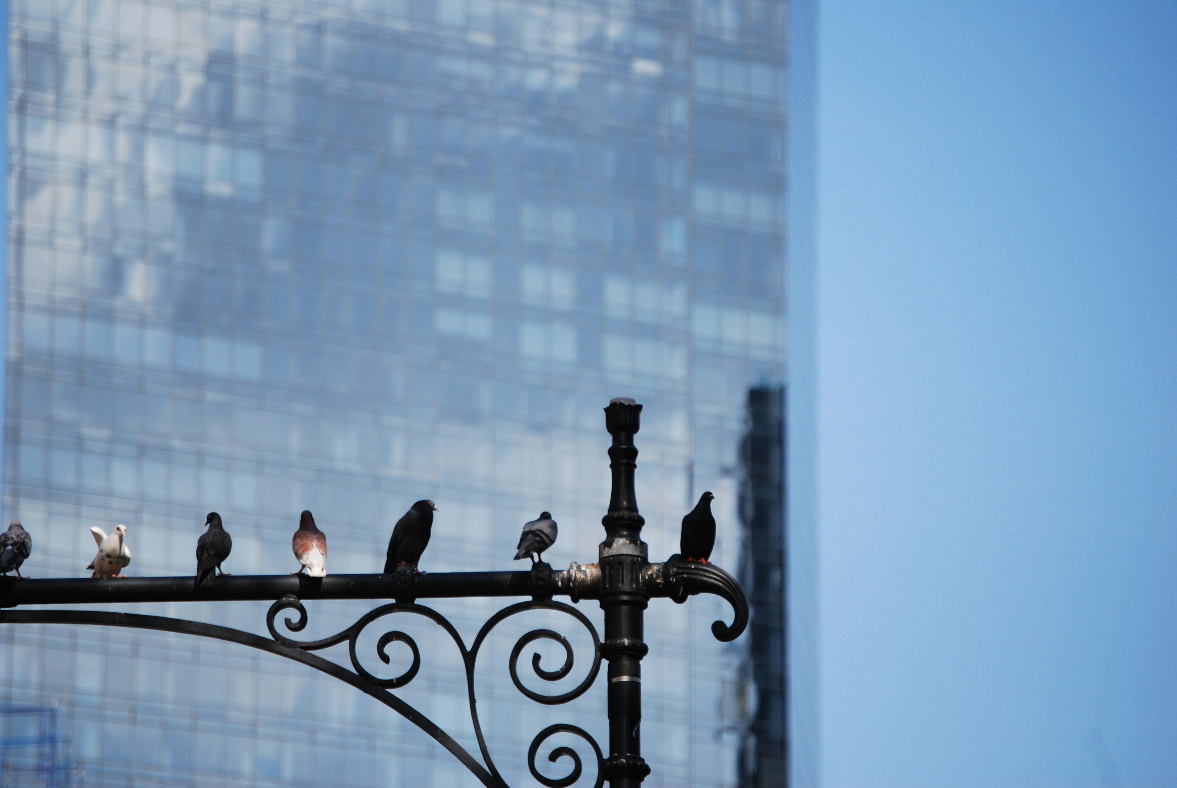 Free Unsplash photo from Juan Miguel  Sevilla Morales