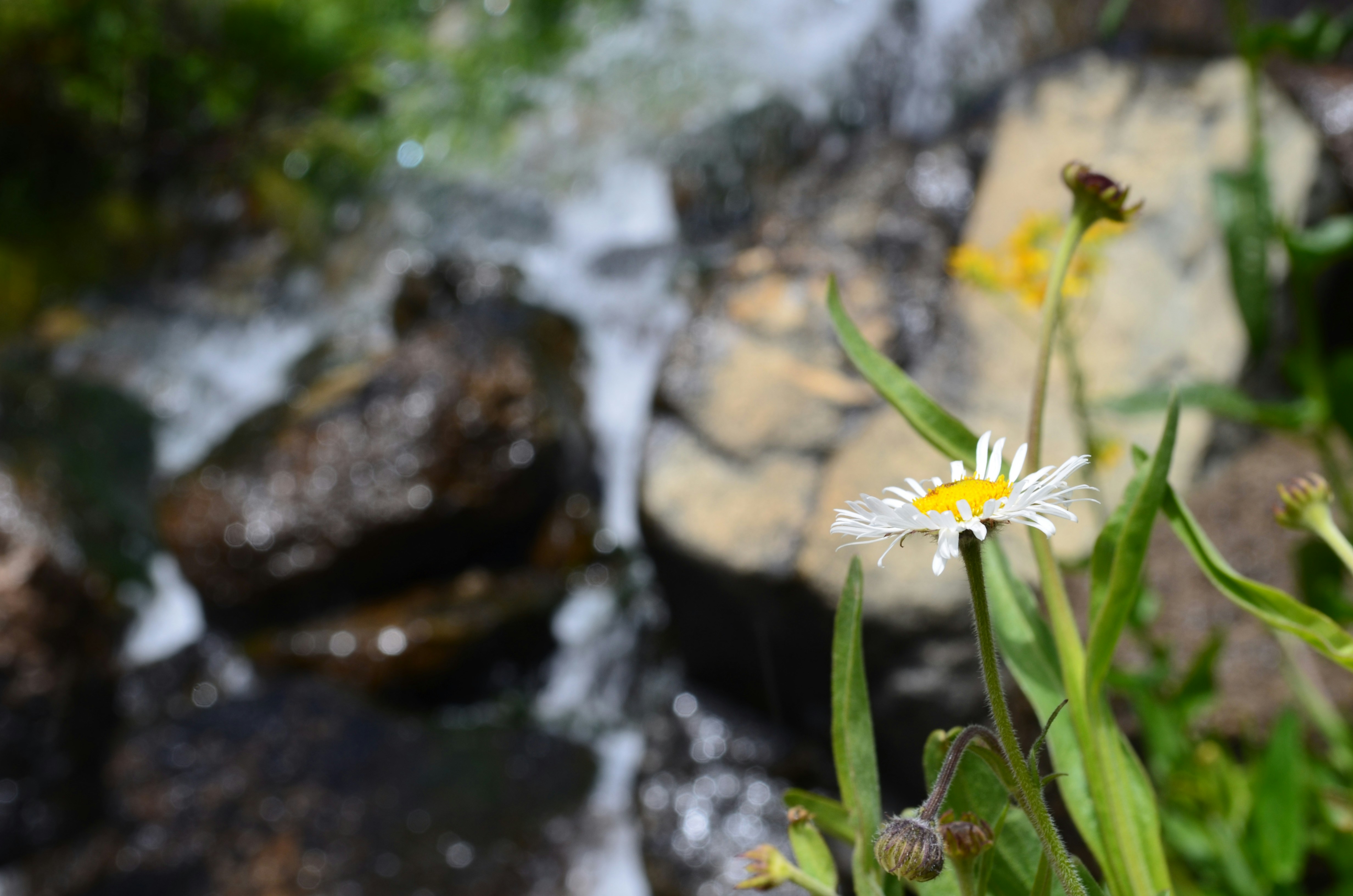 Free Unsplash photo from Kaitlynn Hanson