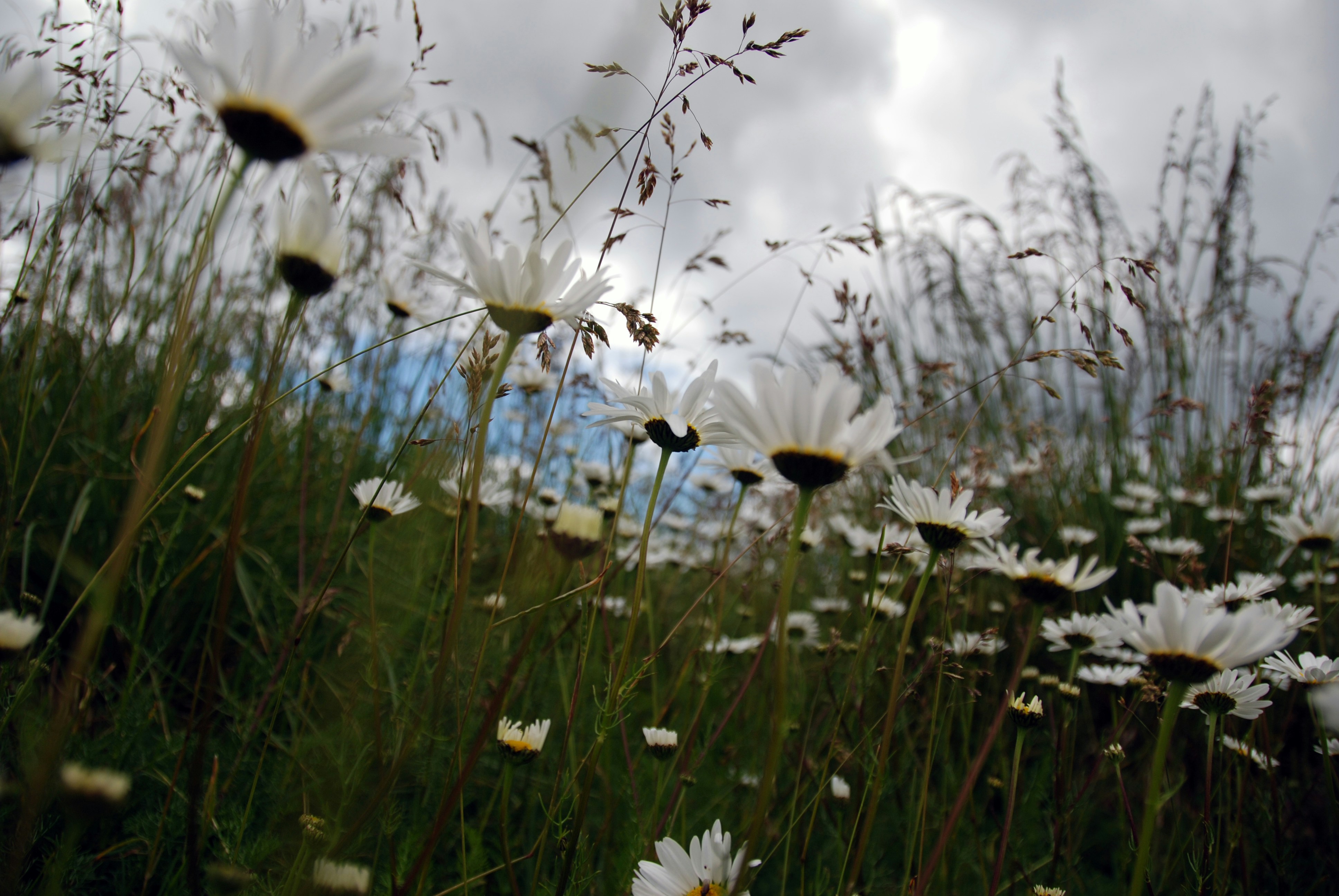 Free Unsplash photo from Ivaylo Klissarov