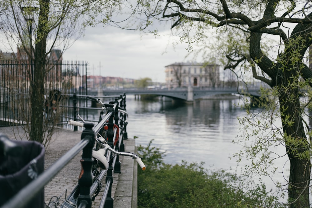 shallow focus photo of bicycles