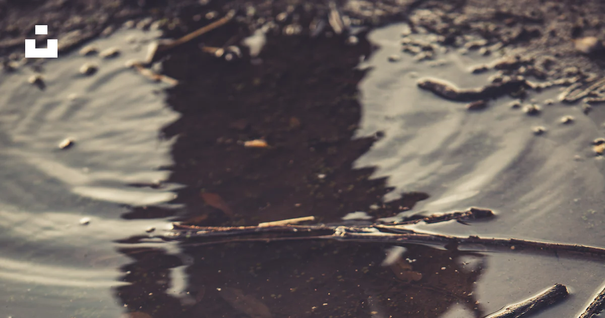 Sticks on body of water photo – Free Reflection Image on Unsplash