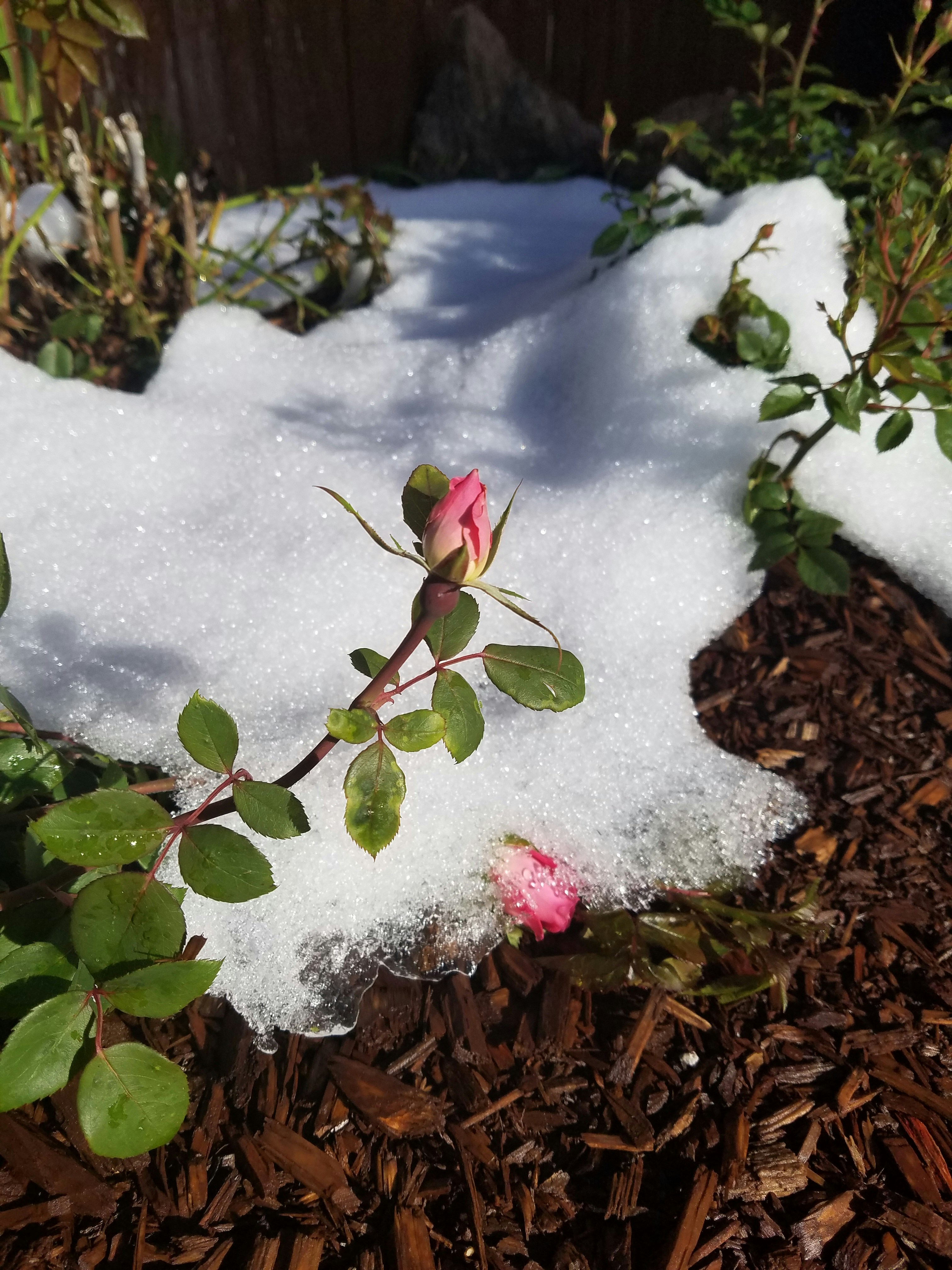 Free Unsplash photo from craig hellier