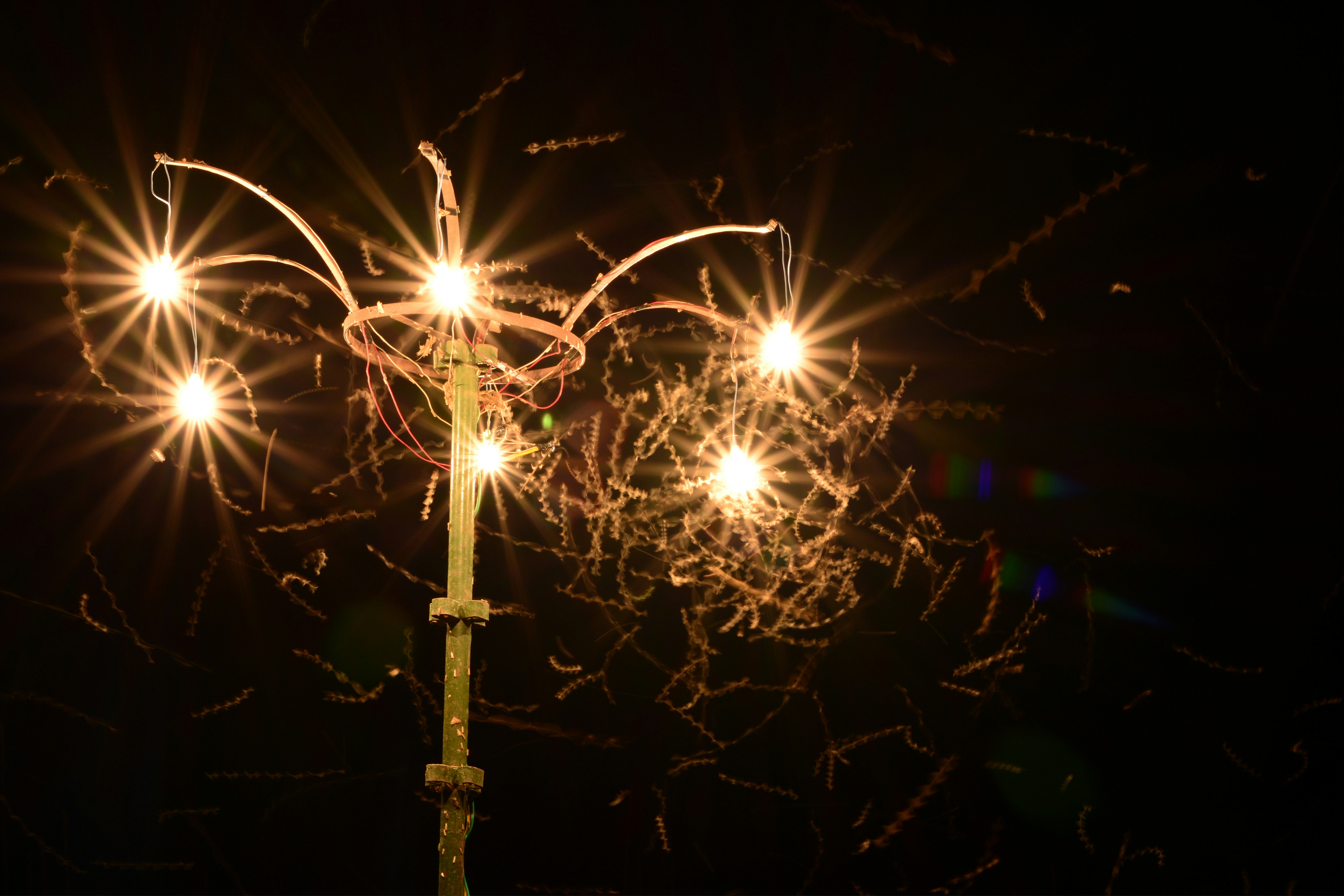 Free Unsplash photo from Brijesh Nirmal