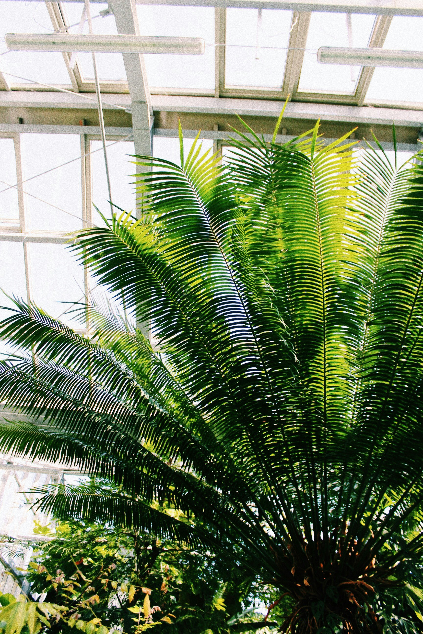 Free Unsplash photo from Luca Steiler