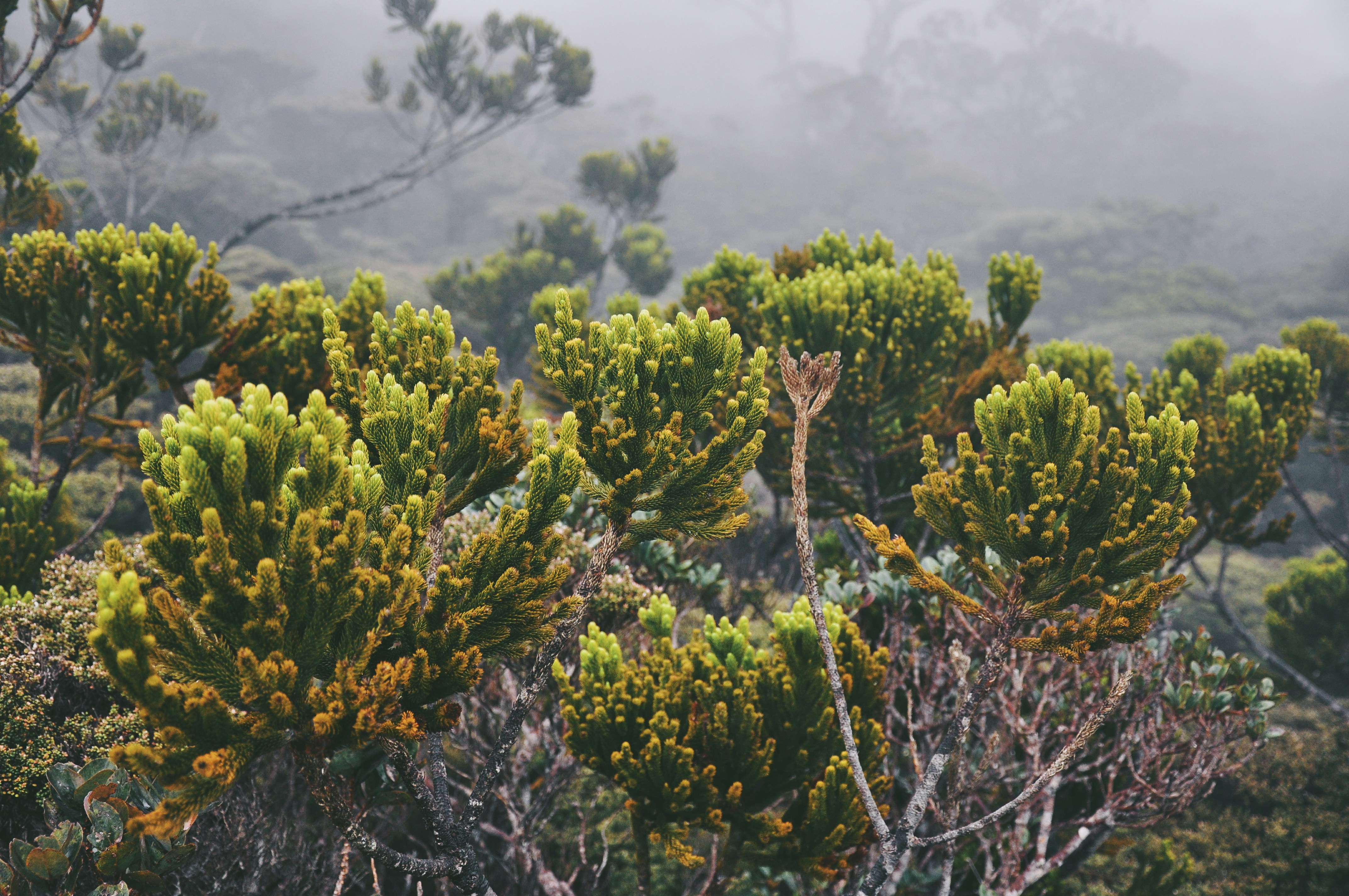 Free Unsplash photo from Iqx Azmi