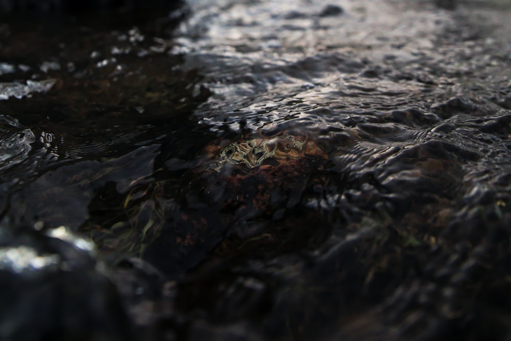 photography of body of water