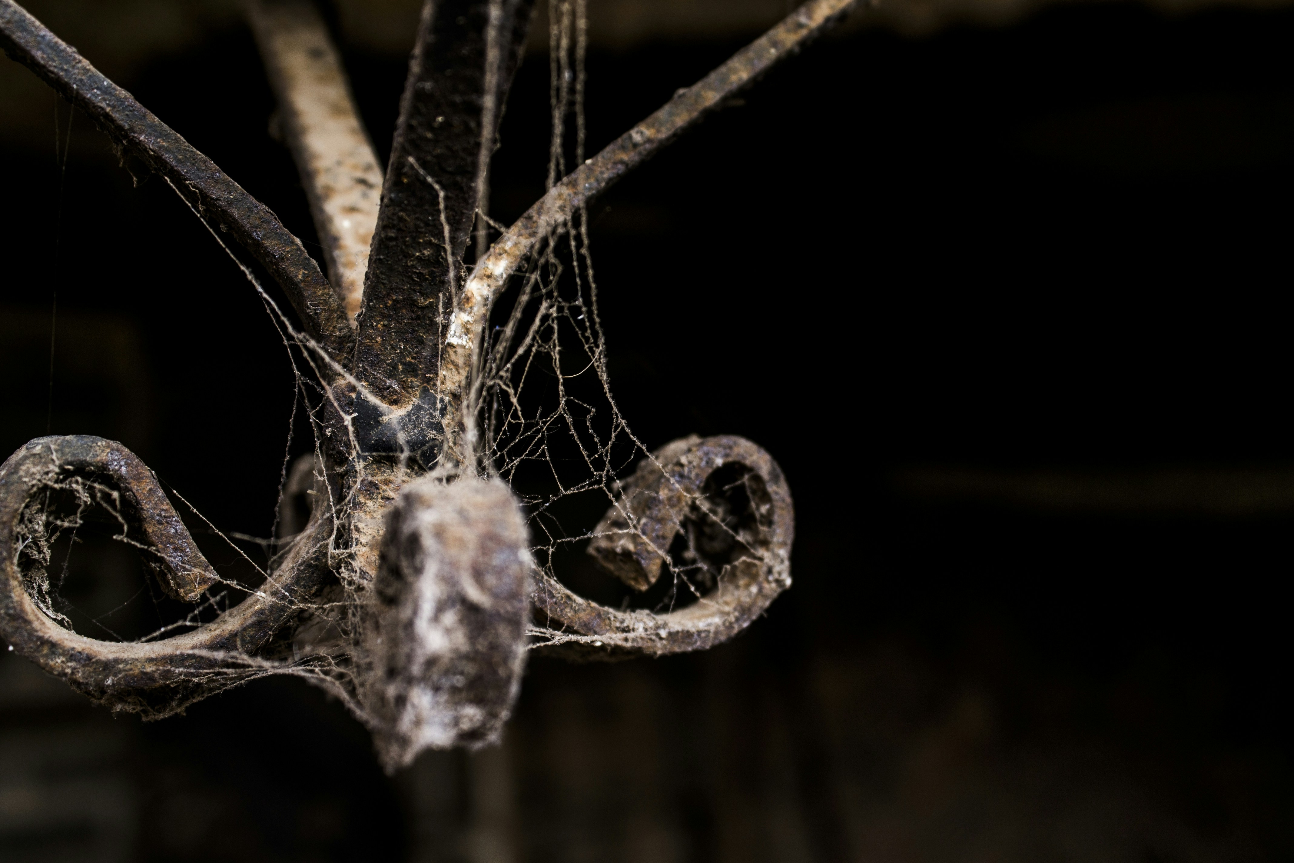 Free Unsplash photo from Caleb Hernandez Belmonte