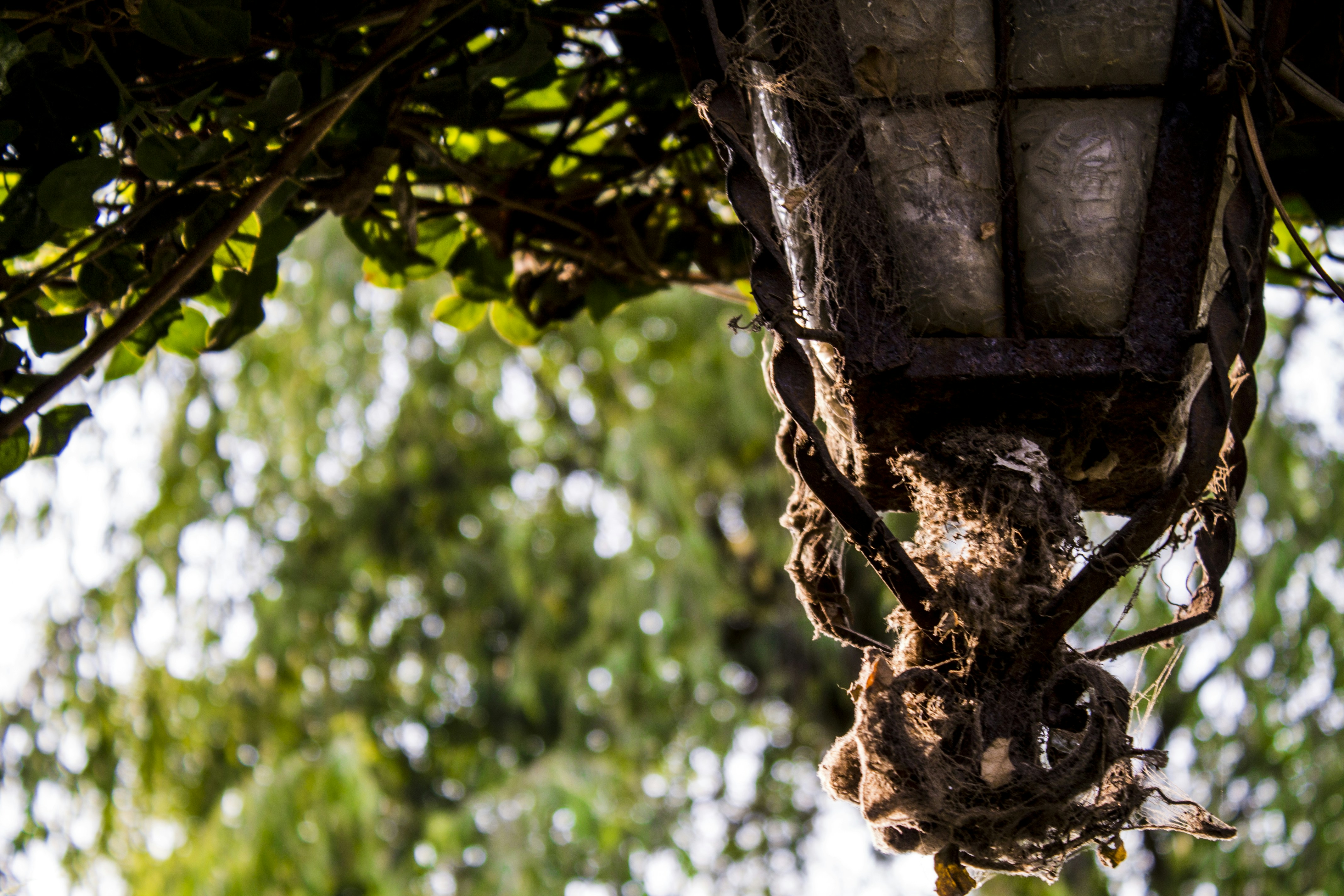 Free Unsplash photo from Caleb Hernandez Belmonte