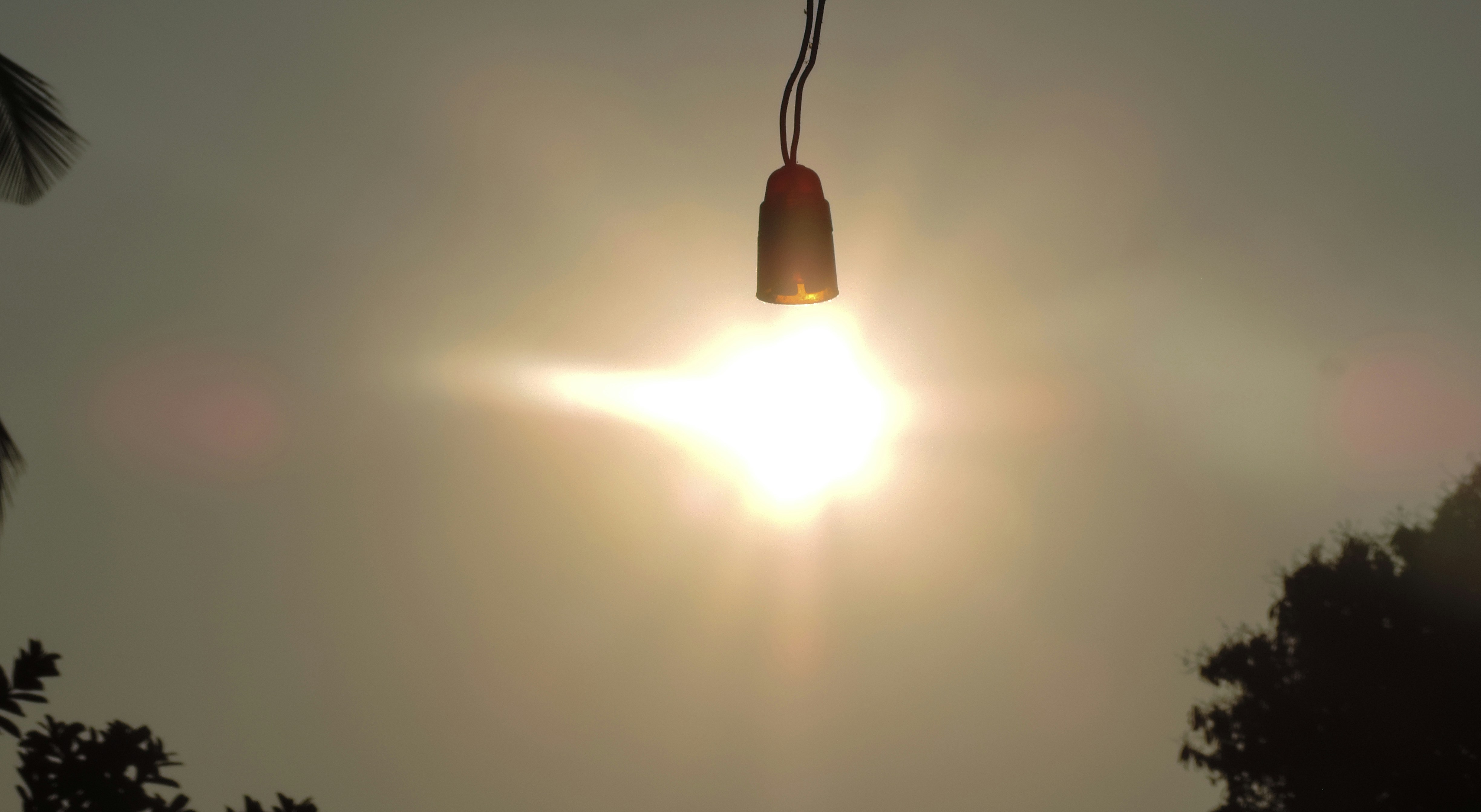 Free Unsplash photo from Madhav