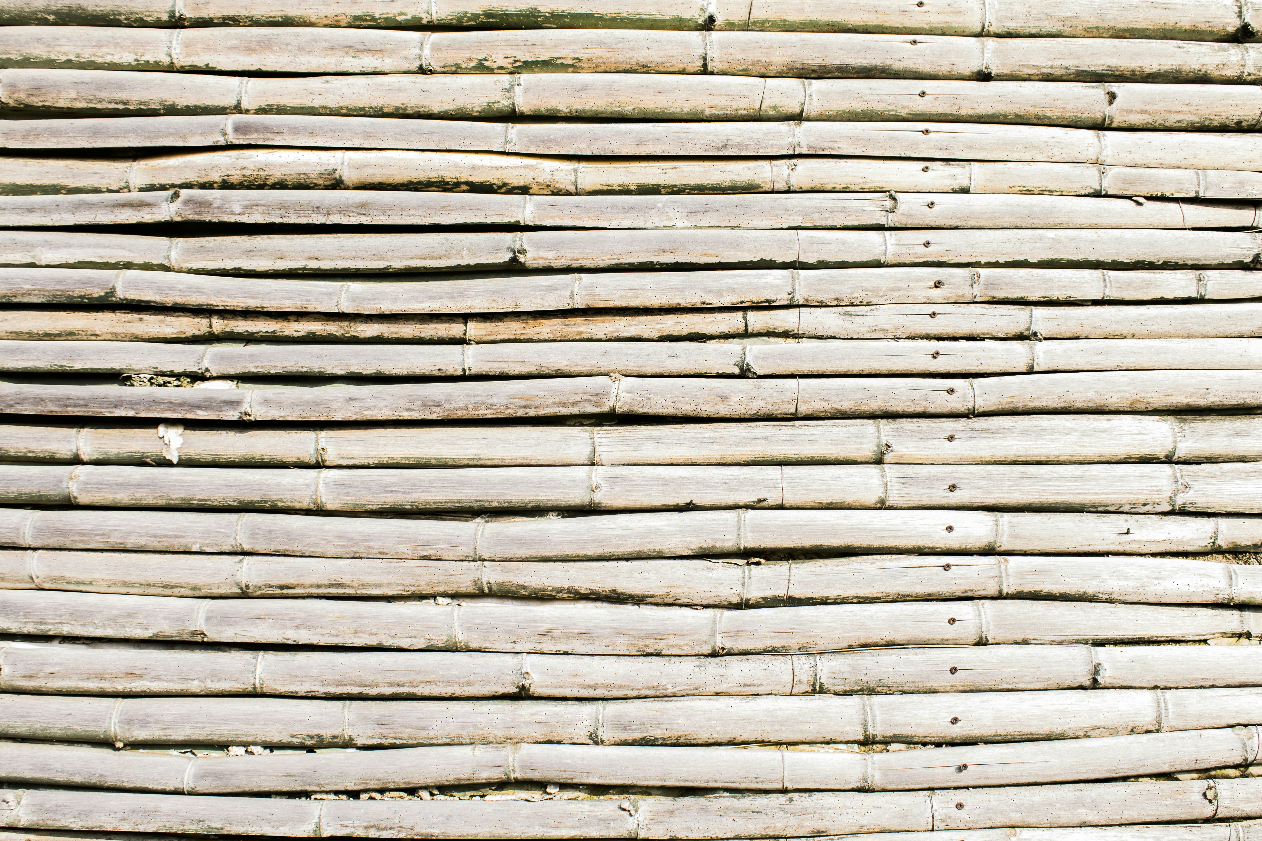 Free Unsplash photo from Caleb Hernandez Belmonte