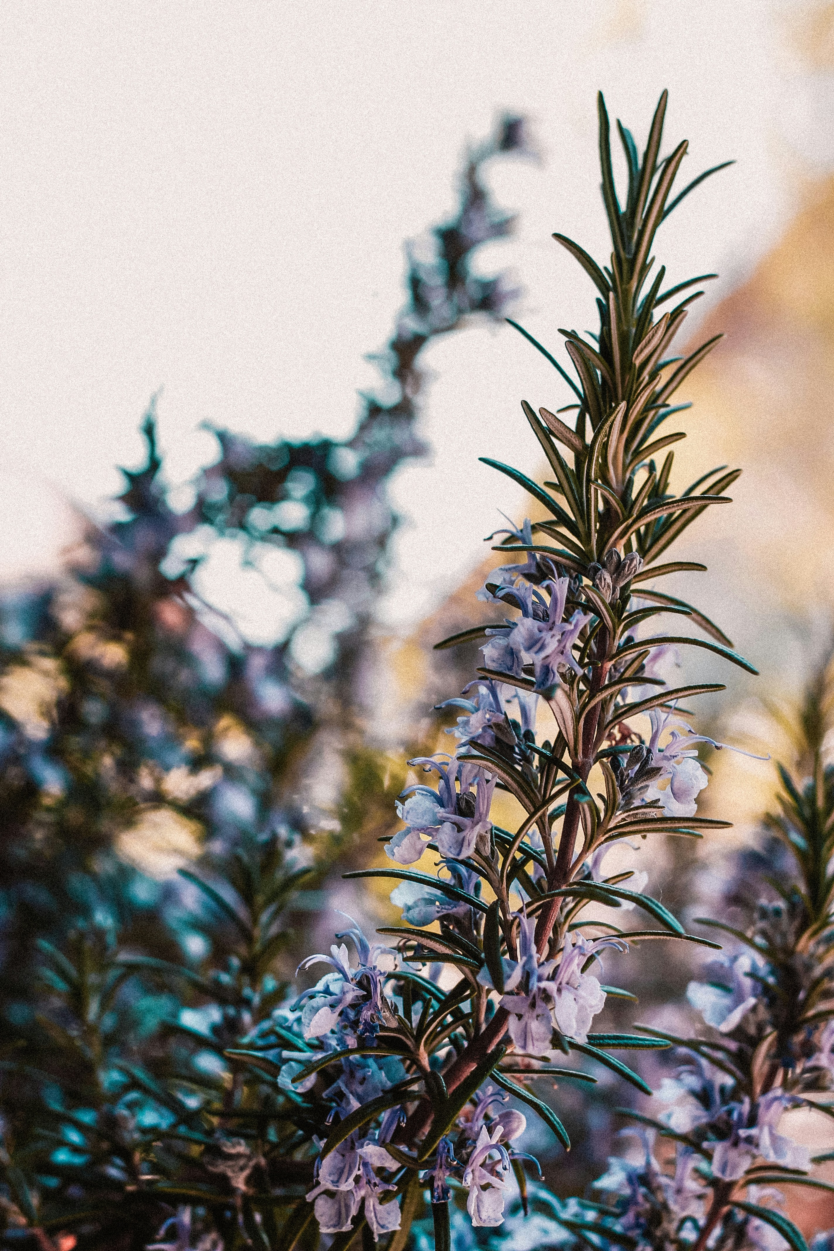 Free Unsplash photo from Finn Brücher