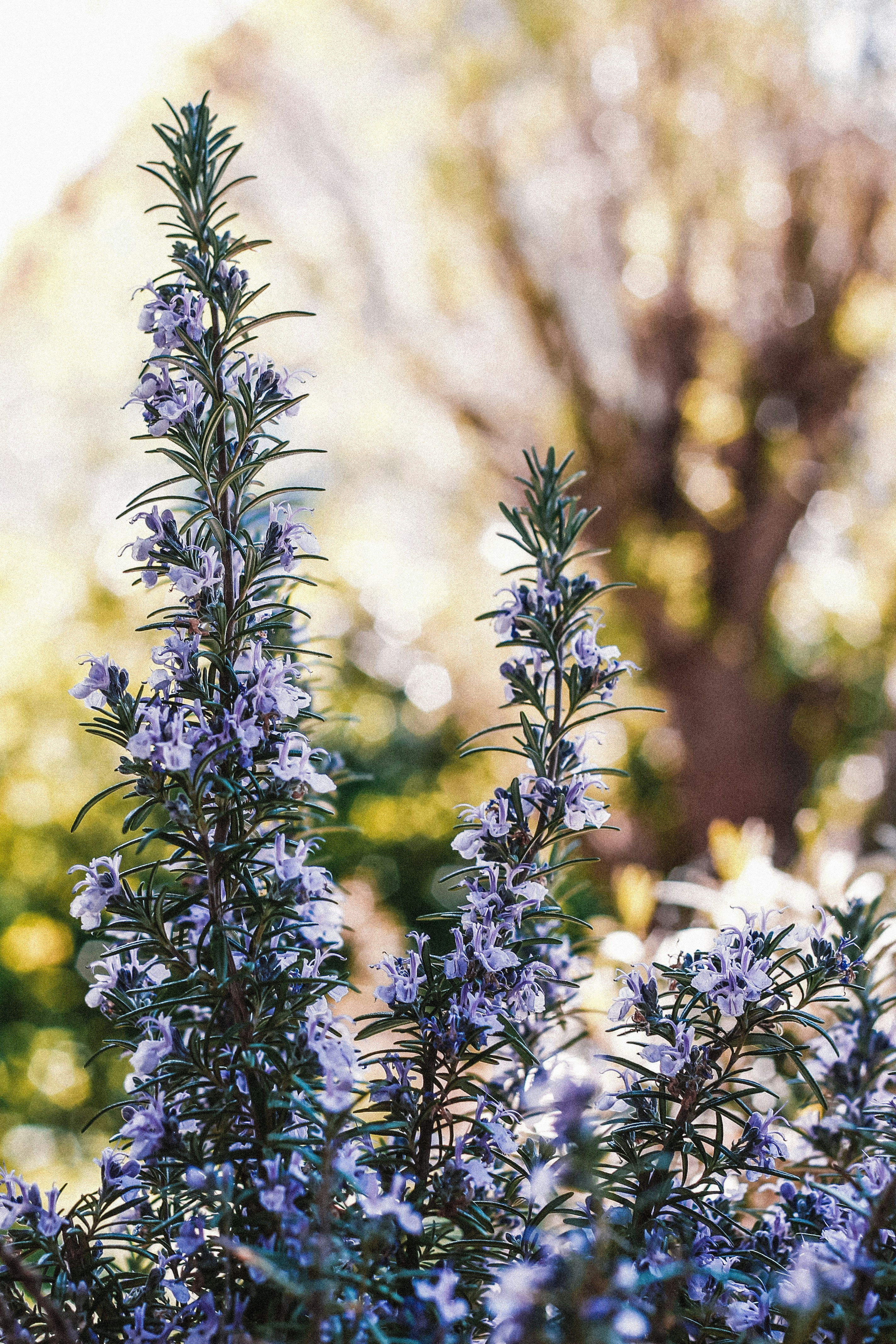 Free Unsplash photo from Finn Brücher