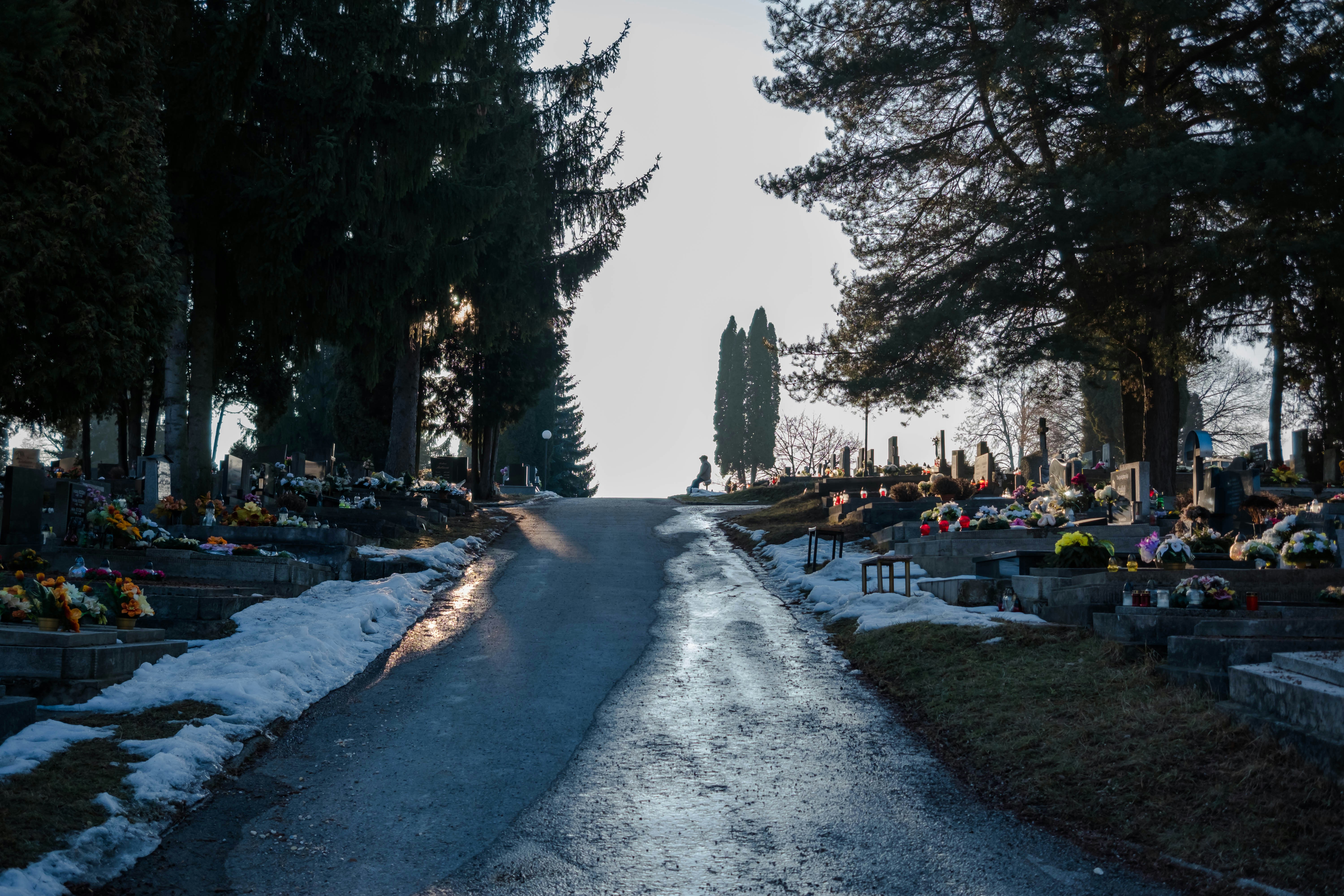 Free Unsplash photo from Noel Rojo