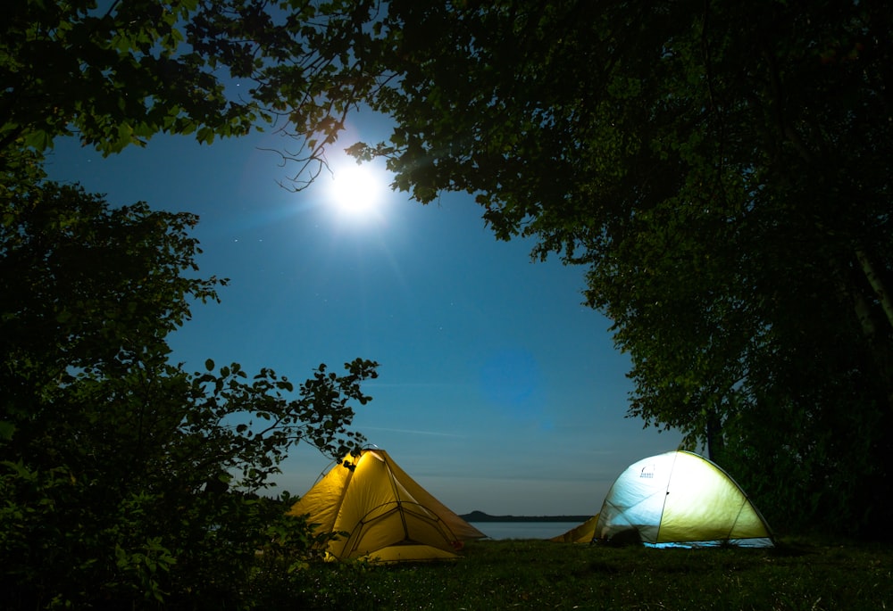 two yellow and green tens between green trees at nighttime