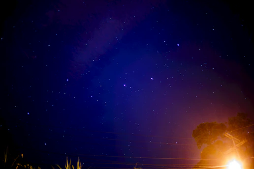 A glowing golden zodiac wheel with stars twinkling against a deep purple night sky.