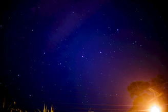 A glowing constellation map over a deep purple night sky with subtle gold accents.