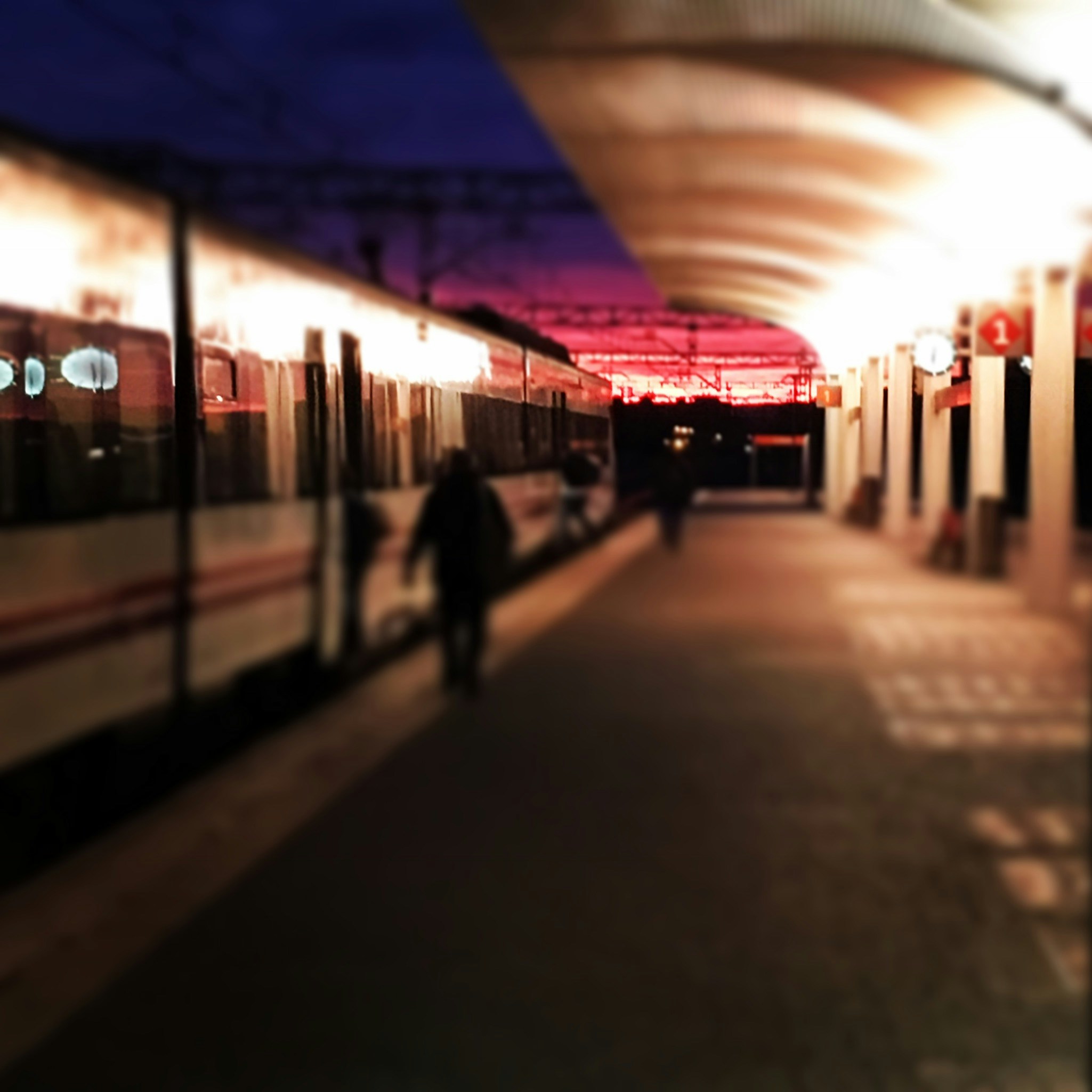 Free Unsplash photo from Rubén Darío Robledo Fernandez