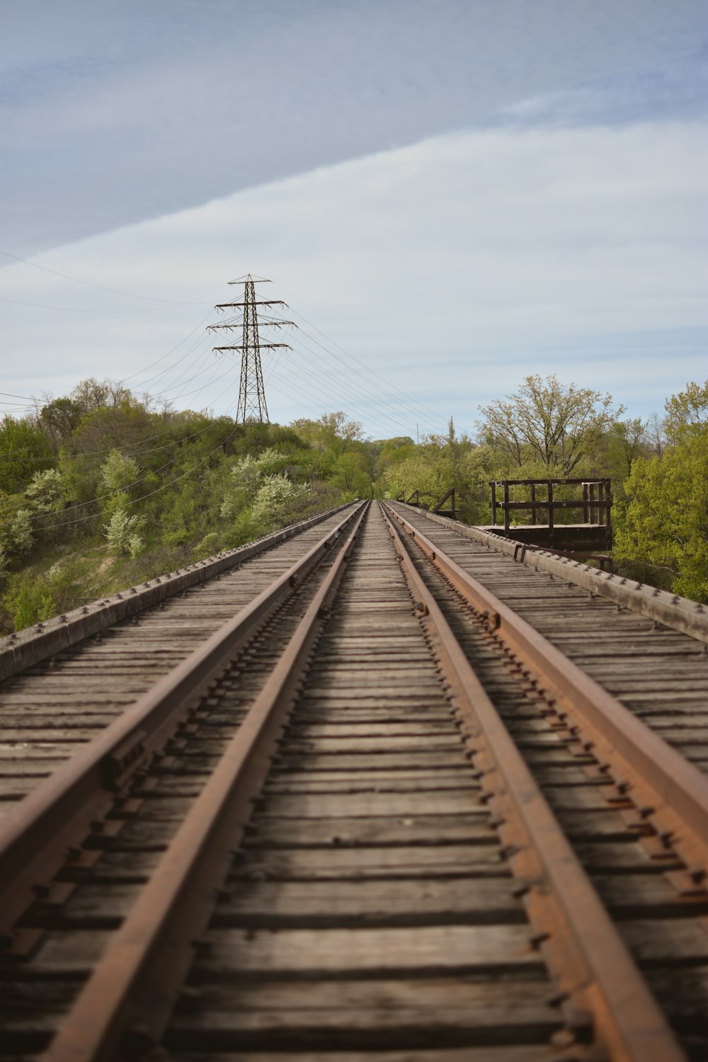 brown train rail near green trees during daytime