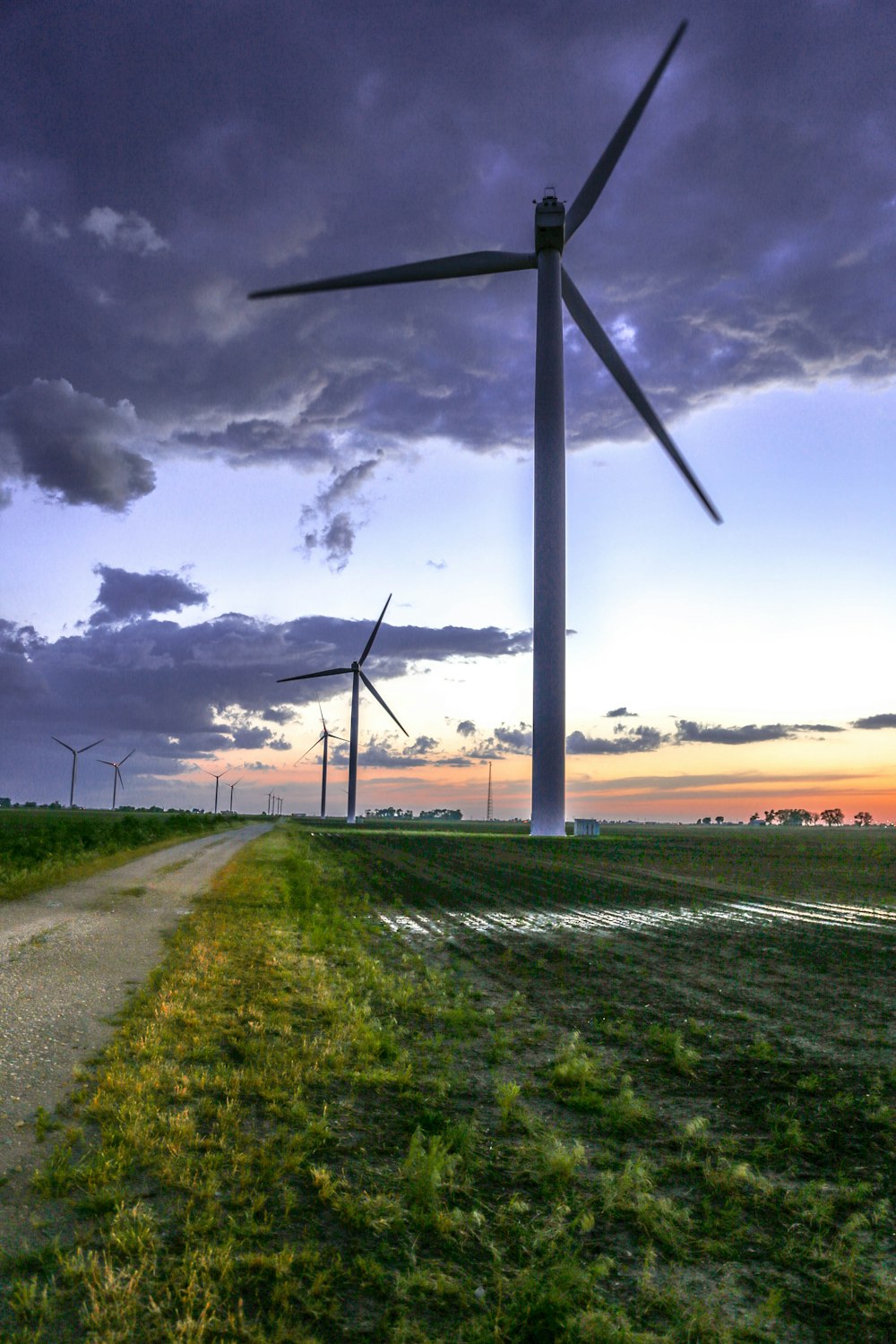 Windmills in farmland.