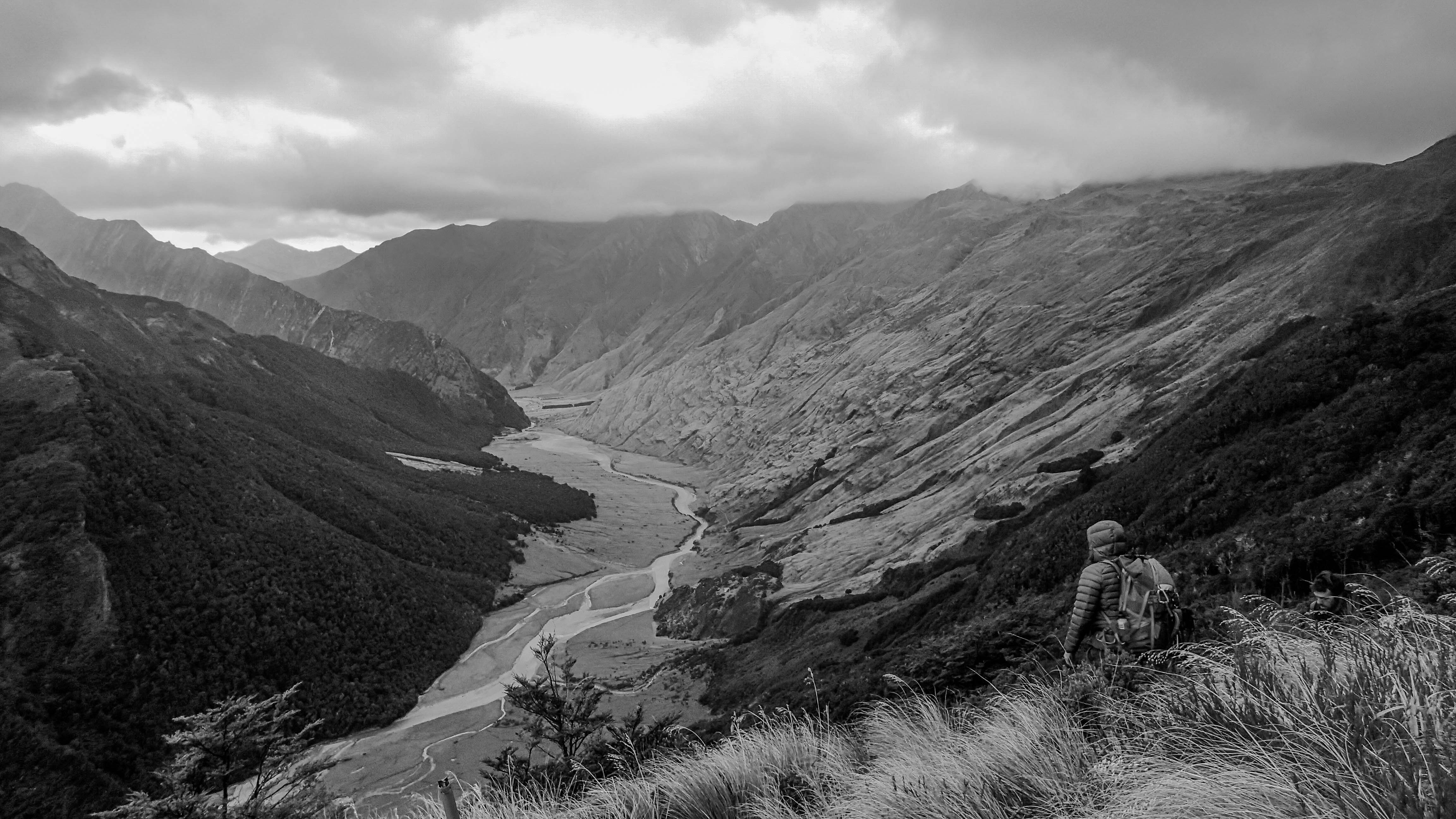 Free Unsplash photo from Elliot Bowie