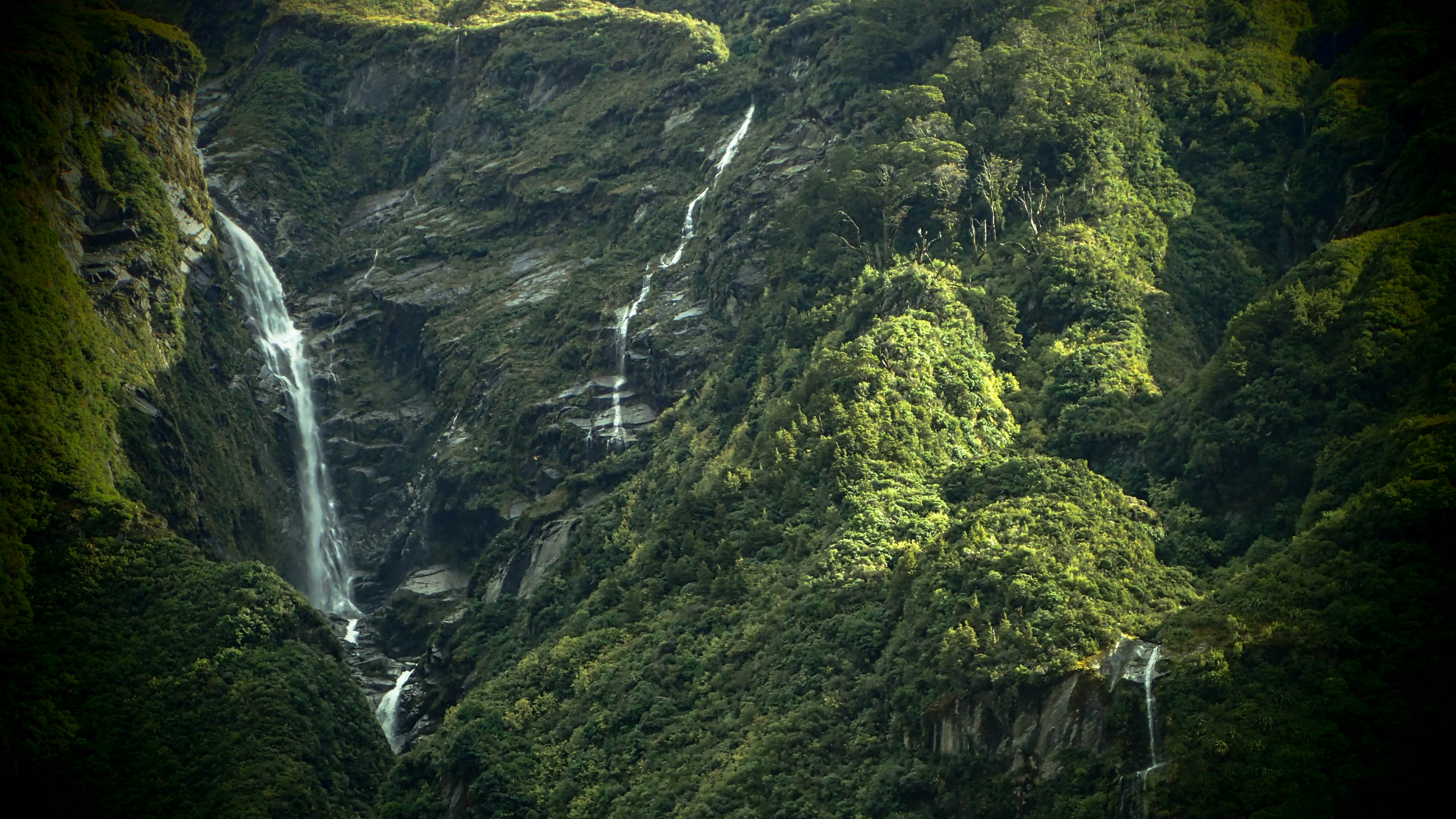 Free Unsplash photo from Elliot Bowie