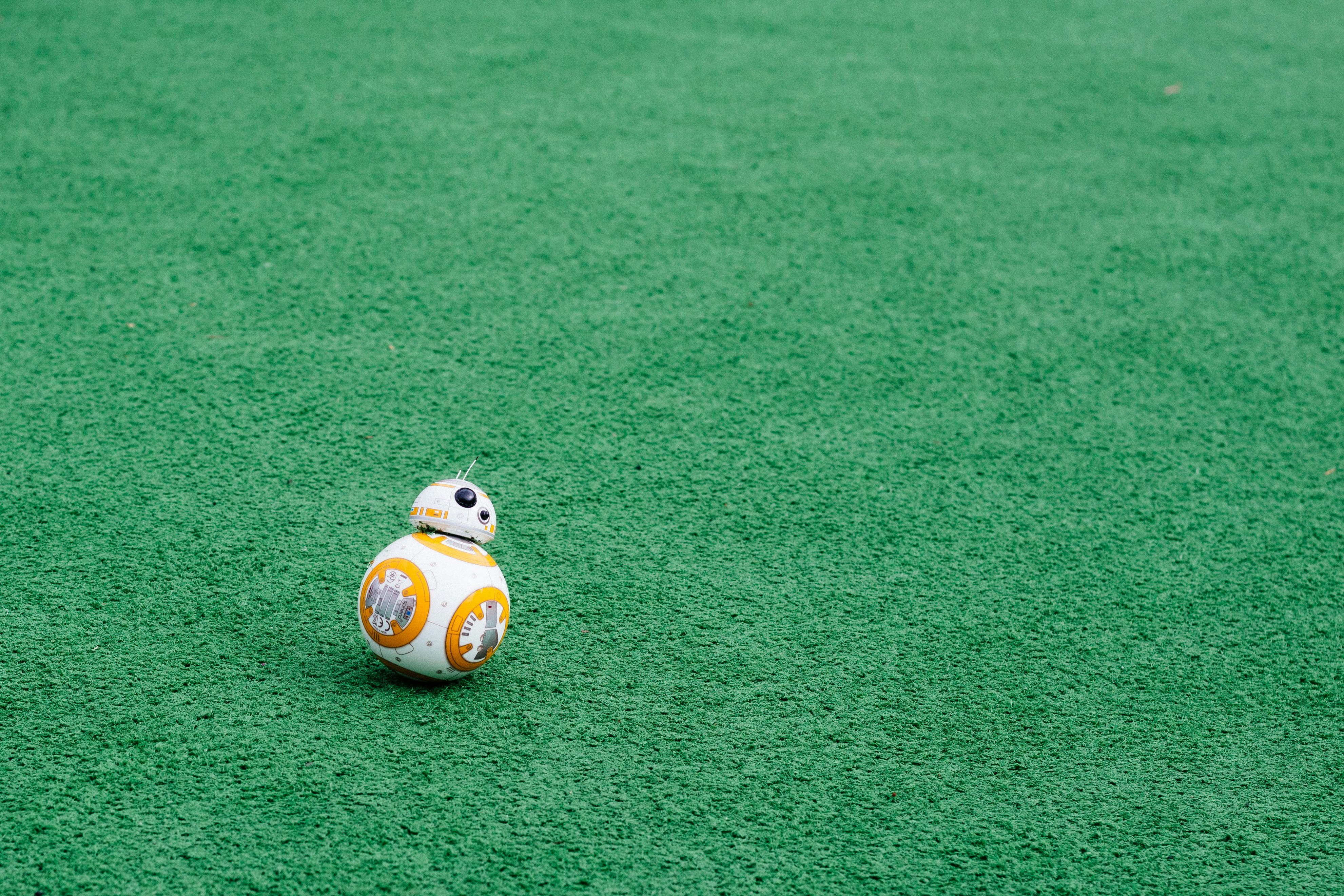 BB-8 on green grass field
