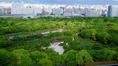 A sprawling urban park with abundant green trees occupies the foreground, while a densely built cityscape with tall buildings and an expansive skyline can be seen in the background. The scene features open spaces and a clear blue sky.