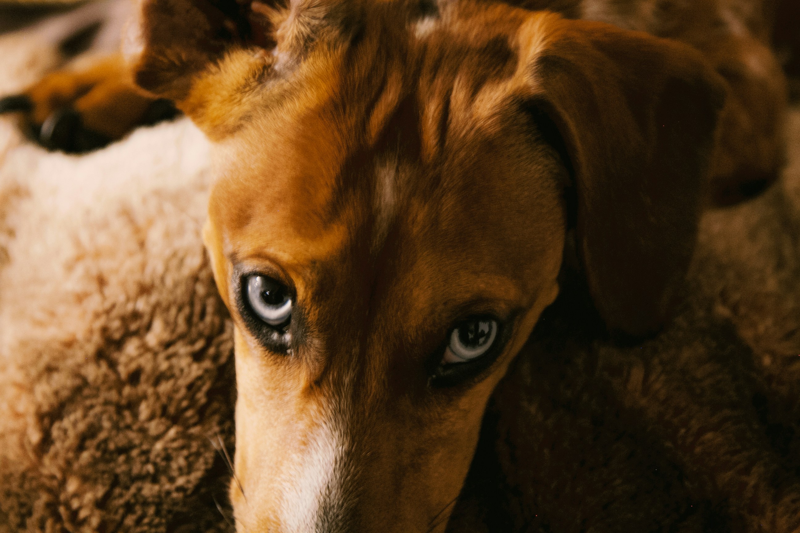 Free Unsplash photo from Rafael Munoz