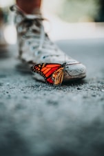 selective focus photo of butterfly on shoe