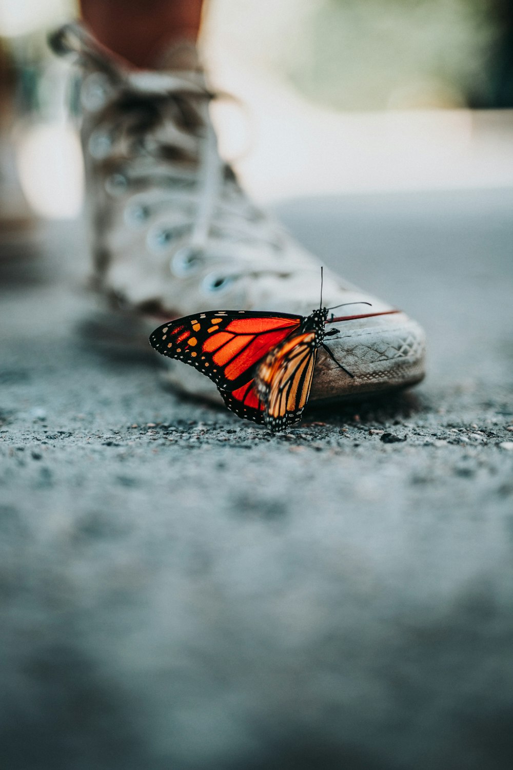 Efecto mariposa en educación