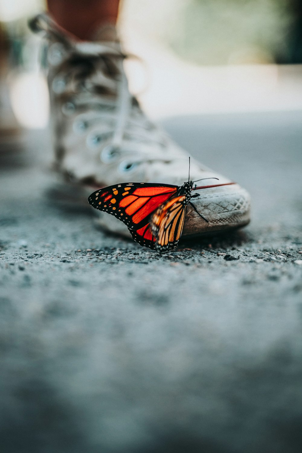 靴の上の蝶のセレクティブフォーカス写真