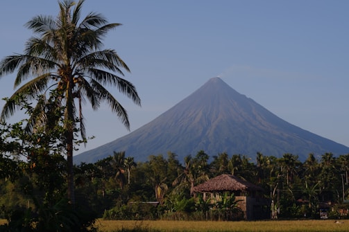 A tall, conical volcano dominates the background with a cluster of palm trees and a traditional thatched-roof hut in the foreground. The scene is set against a clear blue sky with gentle lighting, creating a serene and tranquil atmosphere.