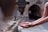 A pair of hands is positioned under an old metal faucet, catching drops of water. The background is slightly blurred, showing an outdoor setting with stone architecture.