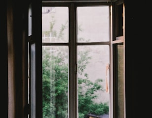 open casement window near plants