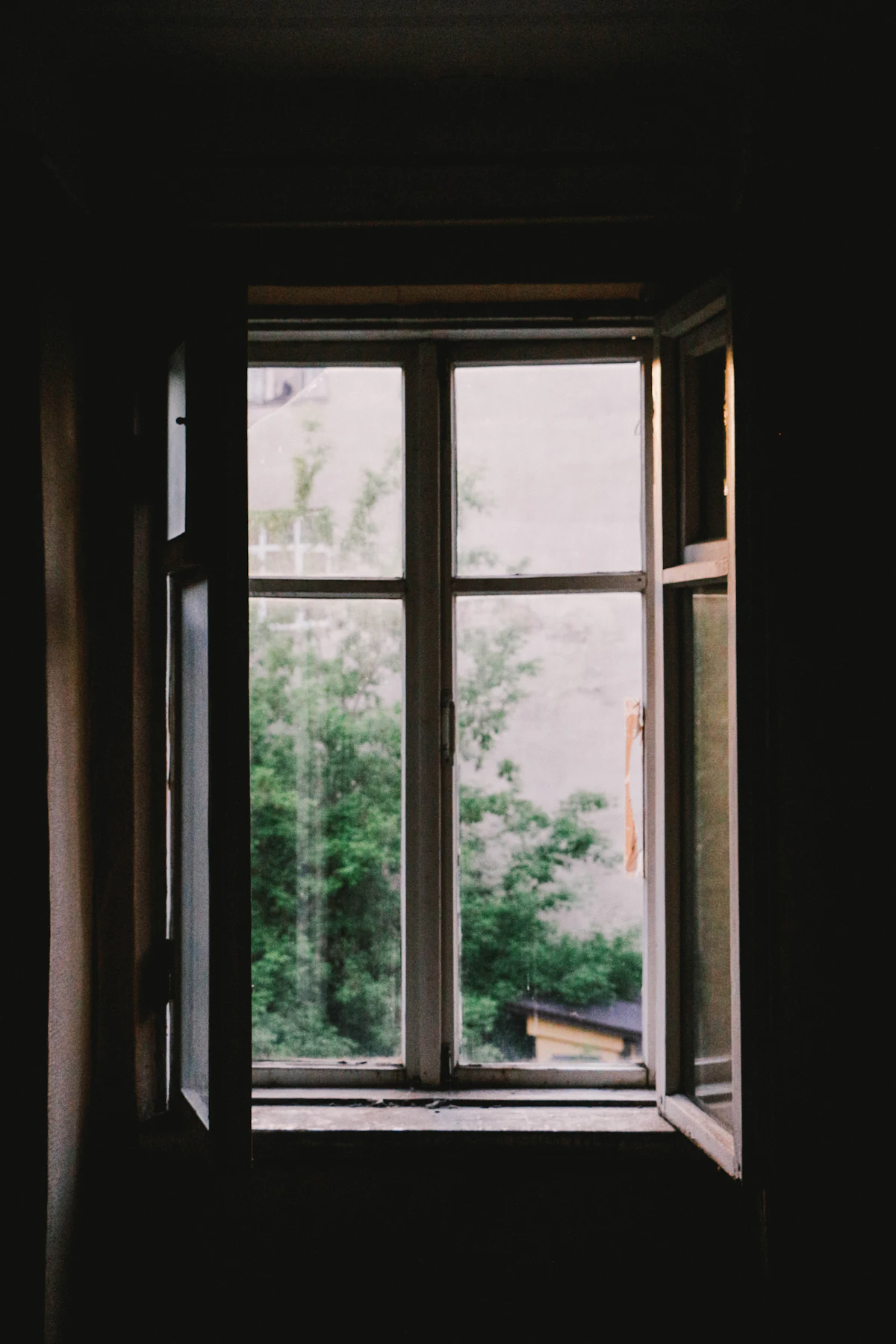 Ventana abierta con plantas y luz natural, sensación de aire fresco