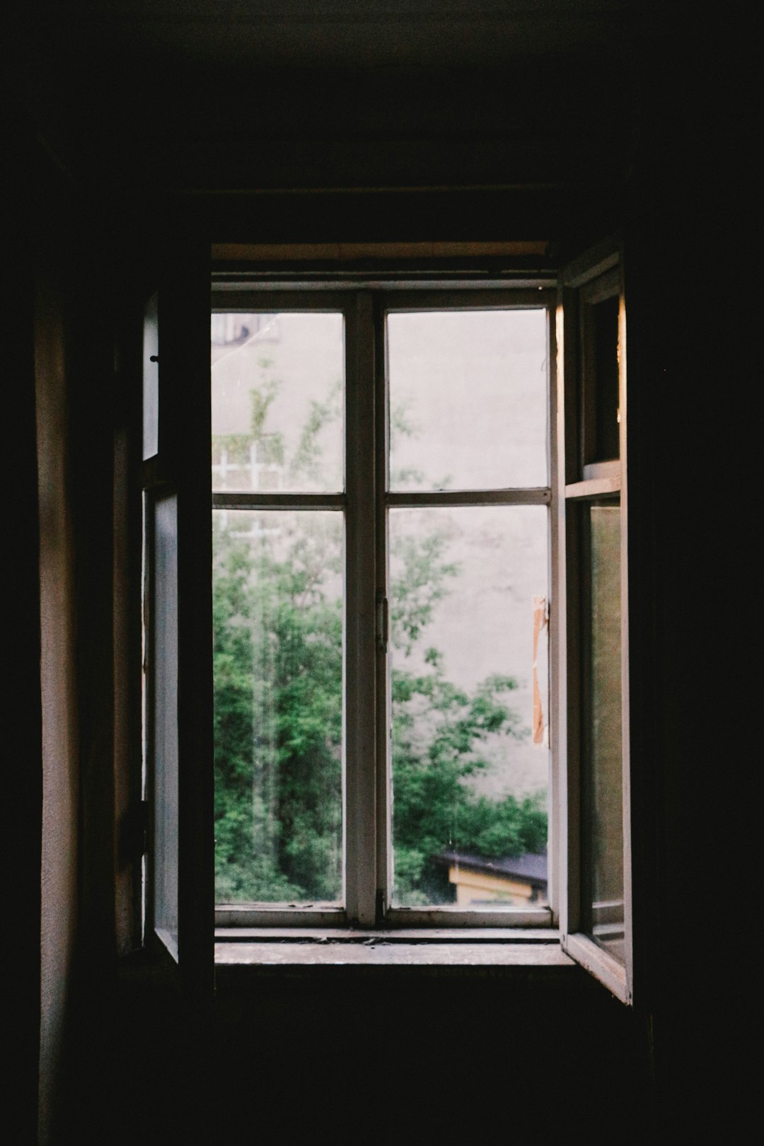 window