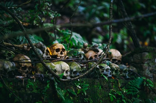 A pile of skulls in a forest.