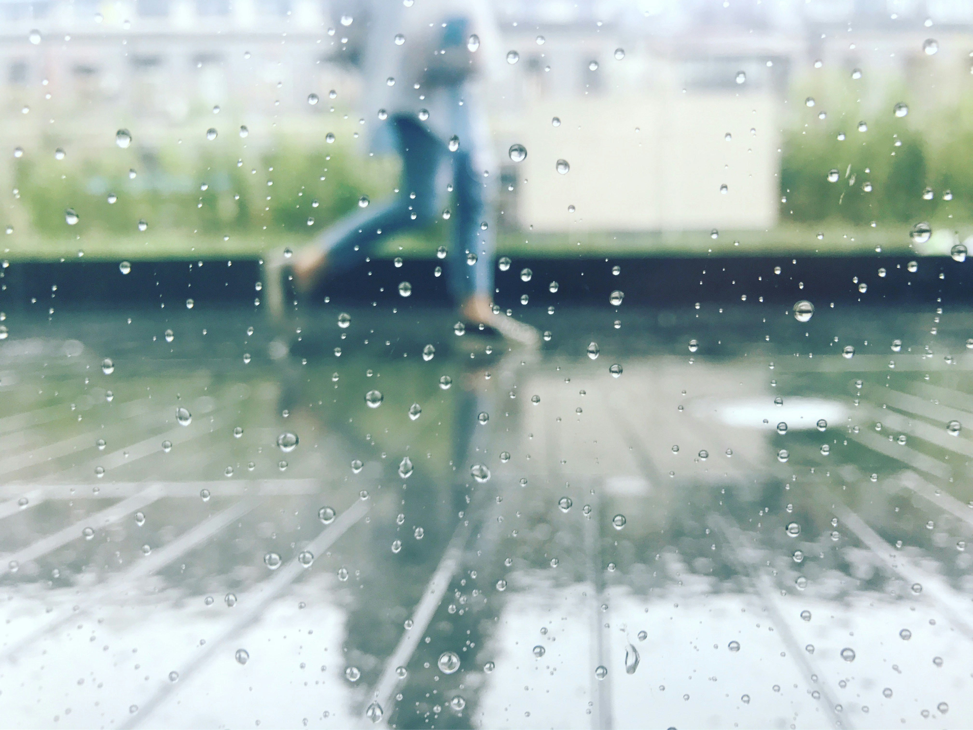 Free Unsplash photo from David Lee