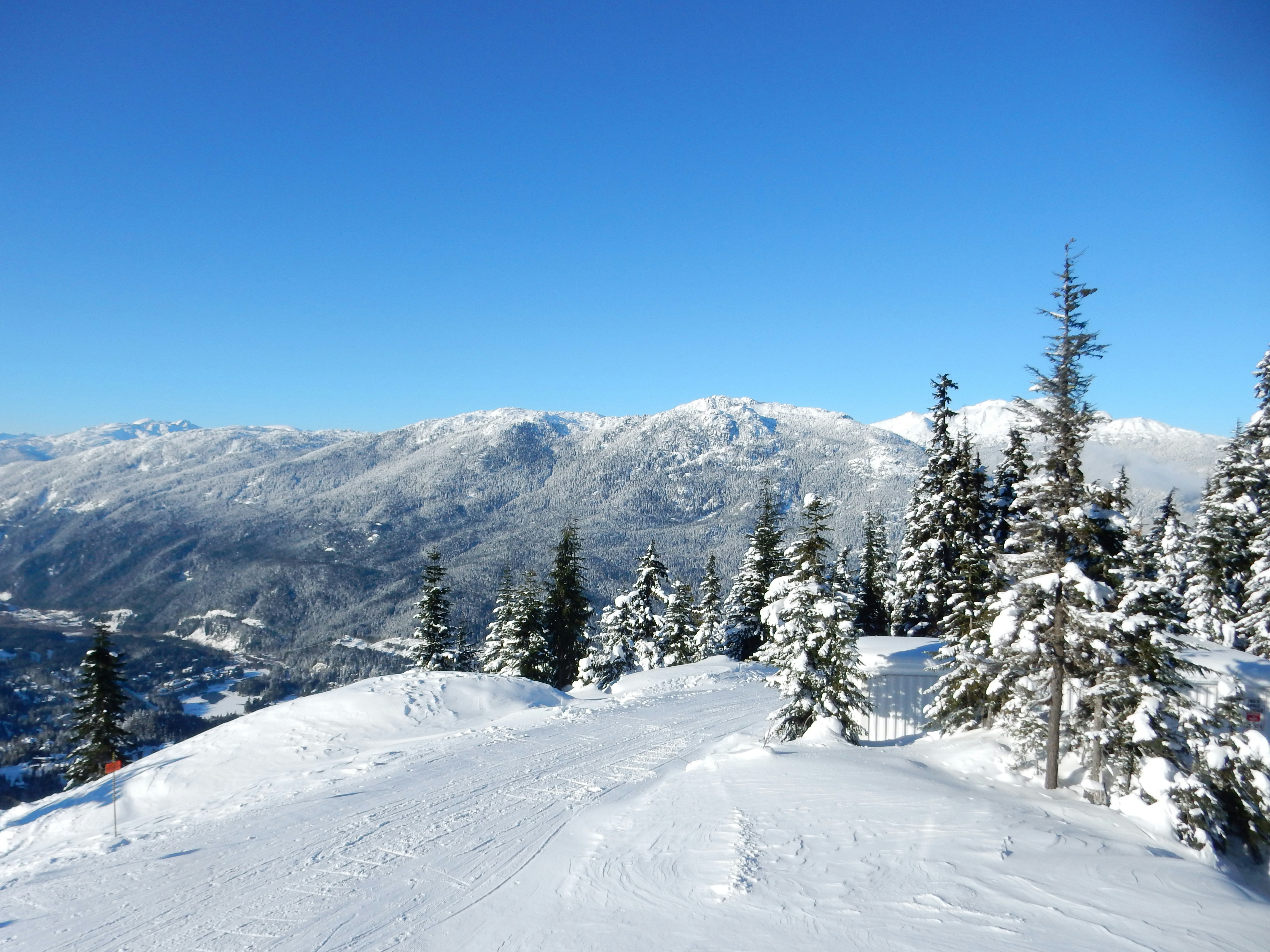 Free Unsplash photo from Lorenz Schilling