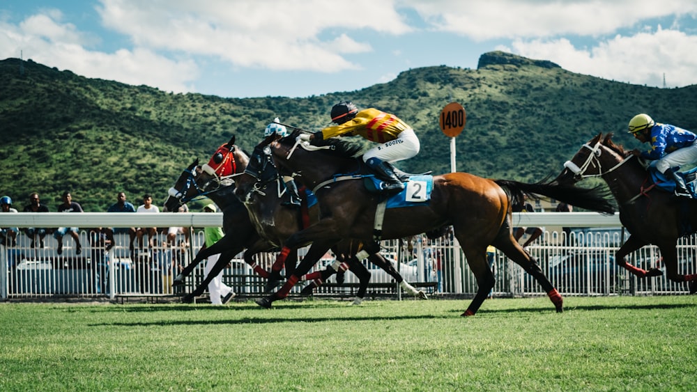100+ Horse Racing Pictures | Download Free Images on Unsplash